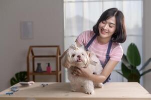 vrouw professioneel groomer trimmen kapsel en kammen hond vacht Bij huisdier spa uiterlijke verzorging salon foto