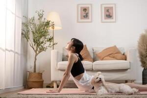 jong vrouw in sportkleding aan het doen meditatie praktijk en yoga met schattig hond in leven kamer, gezond levensstijl, mentaal Gezondheid concept. foto