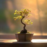 ai gegenereerd bonsai boom in een minimalistische kamerplant pot foto