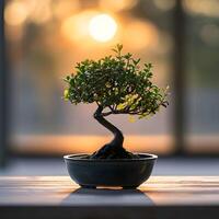 ai gegenereerd bonsai boom in een minimalistische kamerplant pot foto