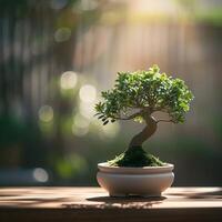 ai gegenereerd bonsai boom in een minimalistische kamerplant pot foto