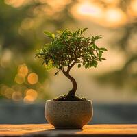 ai gegenereerd bonsai boom in een minimalistische kamerplant pot foto