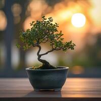 ai gegenereerd bonsai boom in een minimalistische kamerplant pot foto