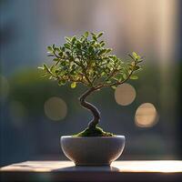 ai gegenereerd bonsai boom in een minimalistische kamerplant pot foto