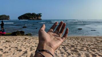 man's hand- ontvangen iets Aan een tropisch zomer strand foto