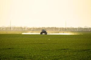 trekker met de helpen van een sproeier sprays vloeistof meststoffen Aan jong tarwe in de veld. foto