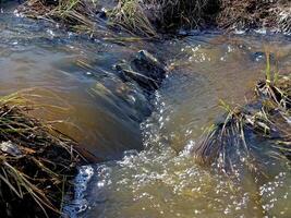 streams van water in een klein rivier. de stromen van water. foto