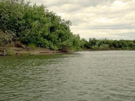 rivier- landschap. noordelijk rendier in zomer Woud. de lucht, gr foto