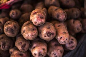 2023 8 15 Peru aardappelen foto