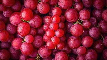 ai gegenereerd rood druiven achtergrond. netjes geregeld clusters van rood druiven, een artistiek arrangement naar hoogtepunt de kleur en schoonheid. foto