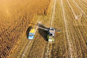 combineren oogstmachine giet maïs graan in de vrachtauto lichaam. oogsten foto