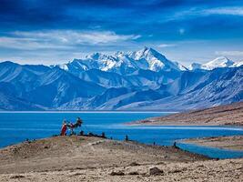 boeddhistisch gebed vlaggen Bij himalayan meer tso moriri foto