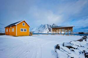 rorbu huis en drogen vlokken voor stokvis kabeljauw vis in winter. lofoten eilanden, Noorwegen foto