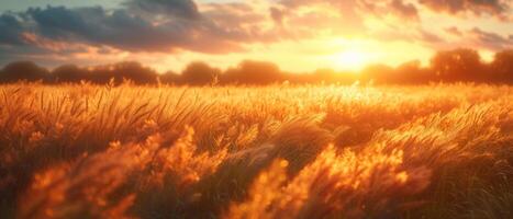 ai gegenereerd de essence van een gouden tarwe veld- onder de helder zomer zon deze pittoreske landschap vitrines de schoonheid van natuur en de premie van landbouw foto