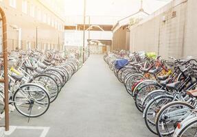 Osaka stad, Japan, 2023 - veel fiets van fabriek personeel geparkeerd netjes in de fabriek parkeren met zon gloed en wit lucht achtergrond. foto