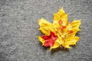 herfst gele en rode esdoorn bladeren op de achtergrond van grijze gezellige gebreide trui