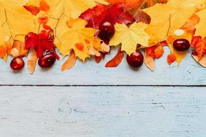 gouden herfst herfstbladeren plat liggend foto