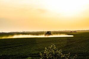 trekker met de helpen van een sproeier sprays vloeistof meststoffen Aan jong tarwe in de veld. foto