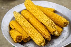 gekookt maïs Aan een aluminium dienblad. geel gekookt jong maïs, nuttig en smakelijk voedsel foto