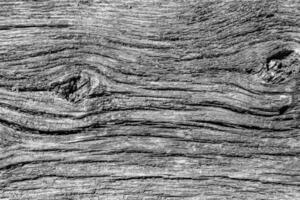 mooie houten breuk oude eik, natuurlijke textuur close-up foto