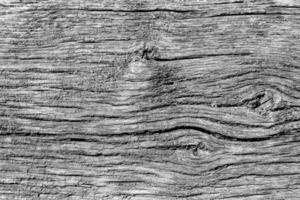 mooie houten breuk oude eik, natuurlijke textuur close-up foto