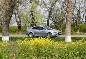 mitsubishi lancer zilver metalen auto. de auto staat Aan de kant van de weg tegen een achtergrond van geel bloemen en bomen. foto