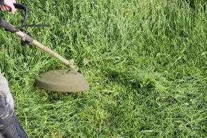 toepassing trimmers. gras maaien groen gras gebruik makend van een visvangst lijn trimmer foto