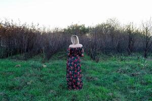 de dame Aan de achtergrond van droog bomen. vrouw in een jurk. foto