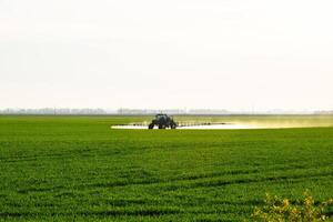 trekker met de helpen van een sproeier sprays vloeistof meststoffen Aan jong tarwe in de veld. foto