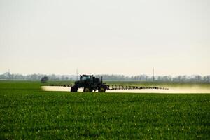 trekker met de helpen van een sproeier sprays vloeistof meststoffen Aan jong tarwe in de veld. foto