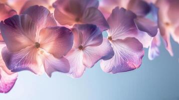 ai gegenereerd delicaat bloemblaadjes cascade sierlijk, vormen een zacht en pastelrijk achtergrond foto
