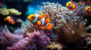 ai gegenereerd een caleidoscoop van clown vis schieten tussen de zwaaiend anemoon, vormen een pittoreske symbiose. foto
