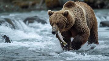 ai gegenereerd een prachtig grizzly beer vangen Zalm in een haasten Alaska rivier, haar krachtig aanwezigheid onmiskenbaar. foto