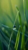 ai gegenereerd een laten vallen van water zittend Aan top van een blad van gras foto