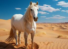 ai gegenereerd wit paard in de woestijn. foto