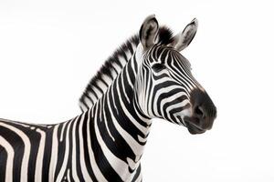 ai gegenereerd zebra geïsoleerd Aan wit achtergrond foto