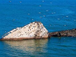 oud tanker schip wrak in de buurt de kust van Californië, Verenigde Staten van Amerika. foto