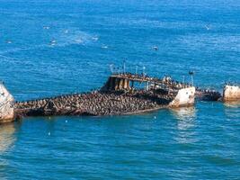 oud tanker schip wrak in de buurt de kust van Californië, Verenigde Staten van Amerika. foto