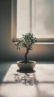 ai gegenereerd een bonsai boom in een pot Aan een tafel foto