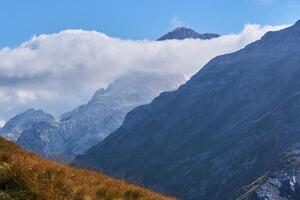 mooi berg landschap met herfst alpine weide in de voorgrond en alpine pieken in de wolken in de achtergrond foto
