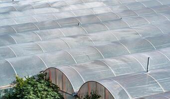 complex van industrieel polytunnels voor groeit groenten, top visie foto