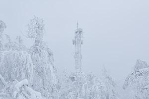 ijs cel telefoon toren over- besneeuwd Woud Aan top van berg tegen winter lucht foto