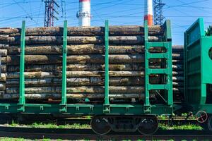 geladen spoorweg wagons voor vervoer van logboeken detailopname foto