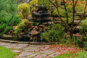 gazon tussen decoratief struiken met een pad en kunstmatig rots met waterval foto