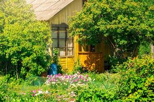 dorp huis met tuin Aan een zonnig zomer dag foto