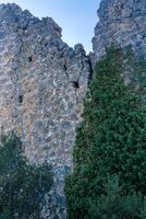 ruïnes van de kasteel zijn verstrengeld met klimop foto