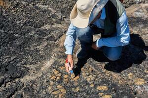 paleontoloog ontdekt sommige fossielen en reinigt het met een borstel foto