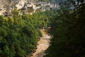 kloof met een modderig rivier- tussen wild vegetatie foto