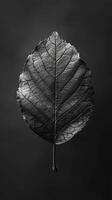 ai gegenereerd middernacht blad elegantie in zwart foto