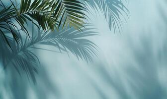 ai gegenereerd palm schaduwen Aan een voorjaar blauw canvas foto